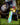 Zippy Balance Board - Vew-Do Balance Boards - revbalance - vewdo - balance