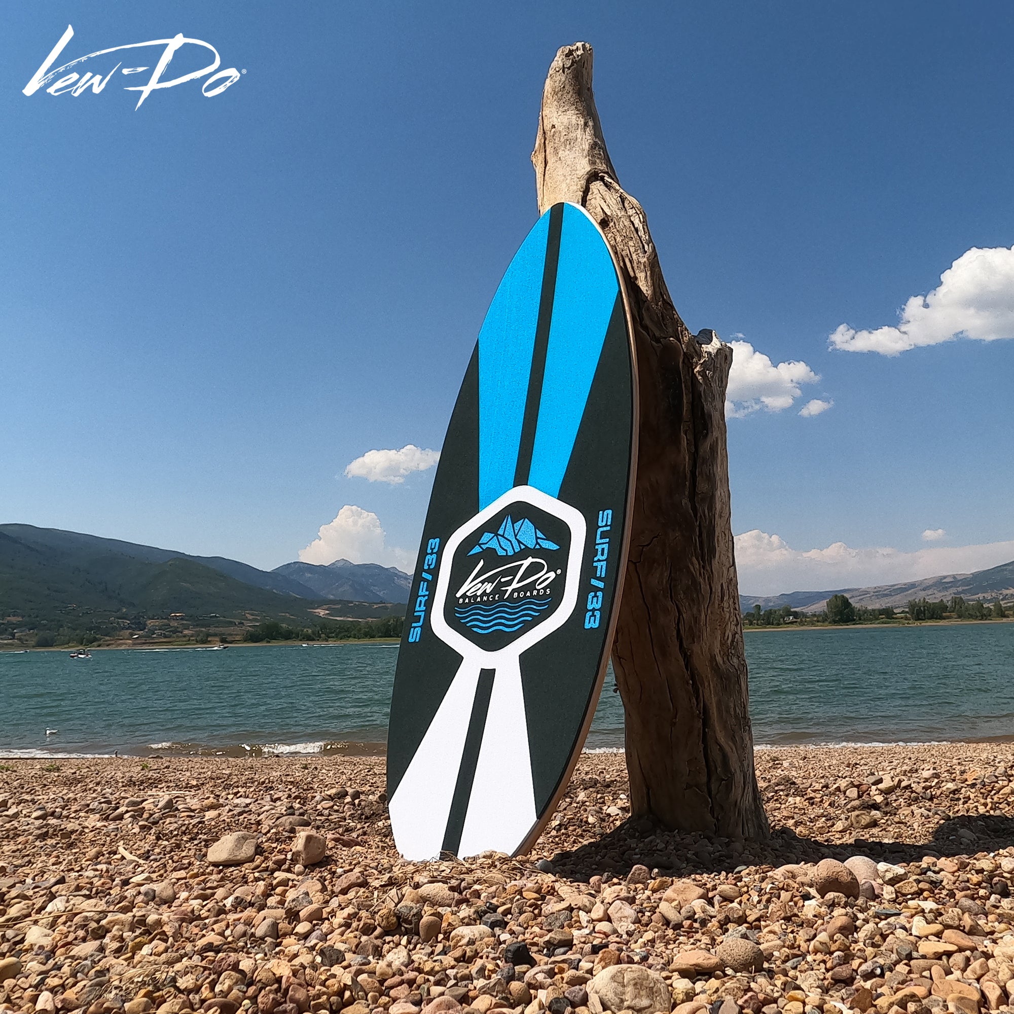 Balance Board Surf88 | SWITCH